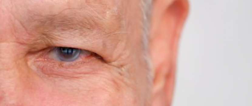 A látás megőrzésének egyik titka a jó minőségű szemészeti vizsgálat